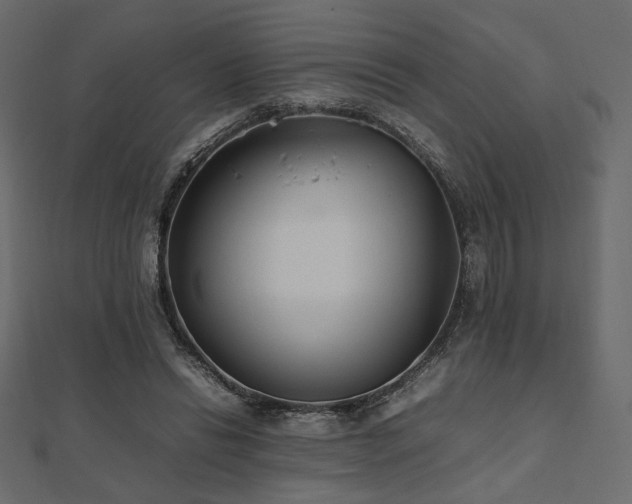 X0000112490446200908171250