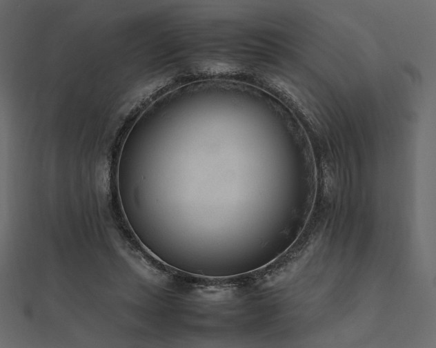 X0000112490447200908171250