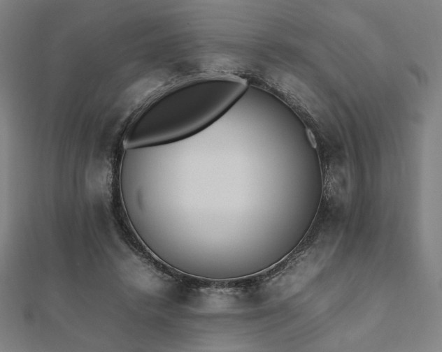 X0000112490448200908171250