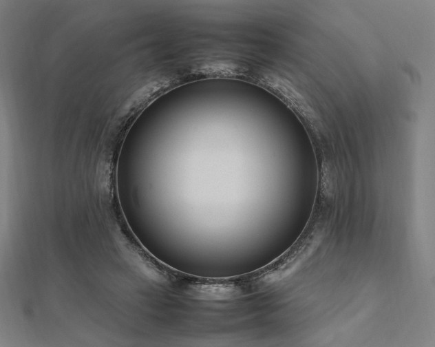 X0000112490449200908171250