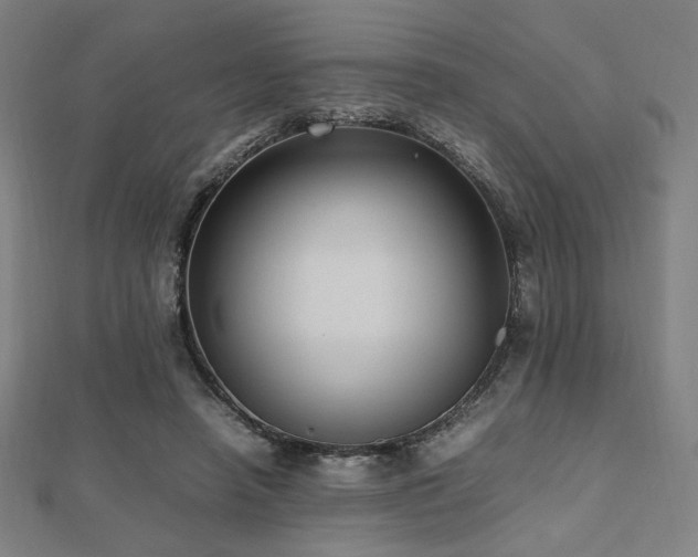 X0000112490450200908171250