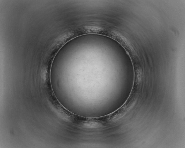 X0000112490451200908171250