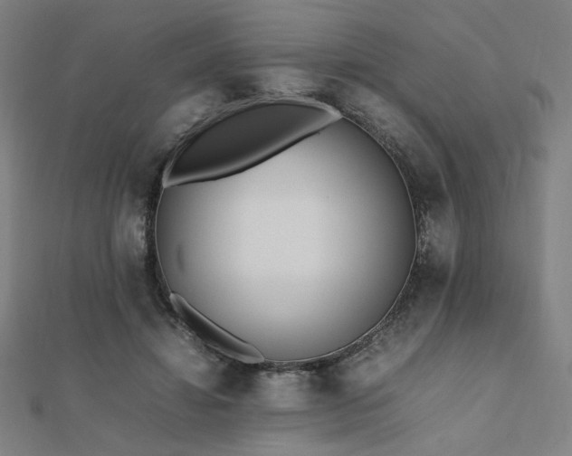 X0000112490452200908171250