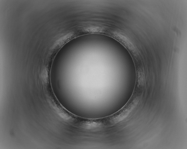X0000112490453200908171250