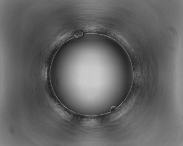 X0000112490454200908171250
