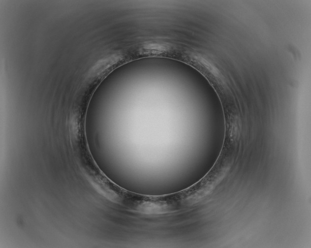 X0000112490455200908171250