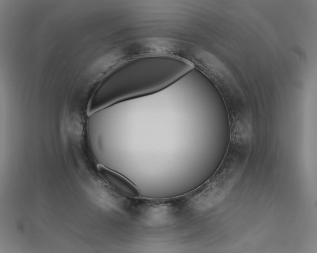 X0000112490456200908171251