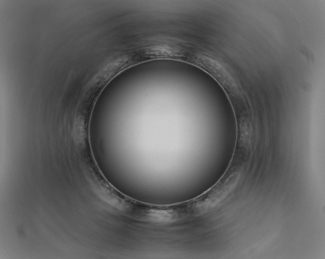 X0000112490457200908171251