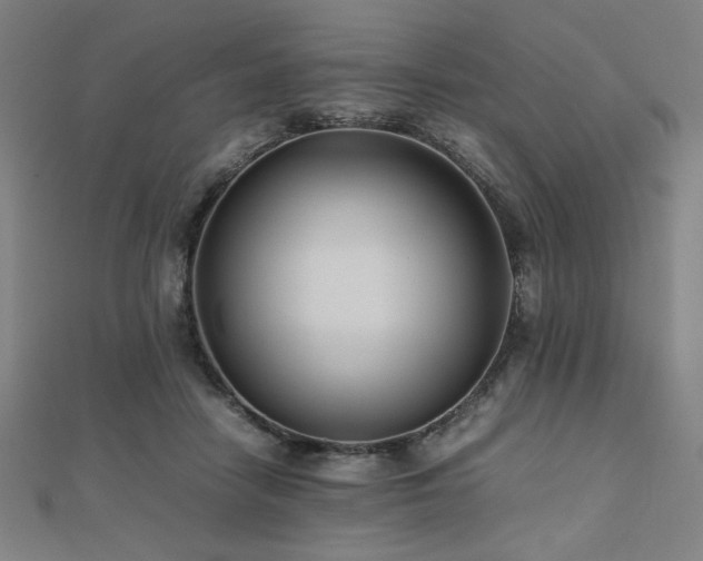 X0000112490458200908171251