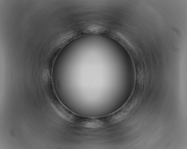 X0000112490459200908171251