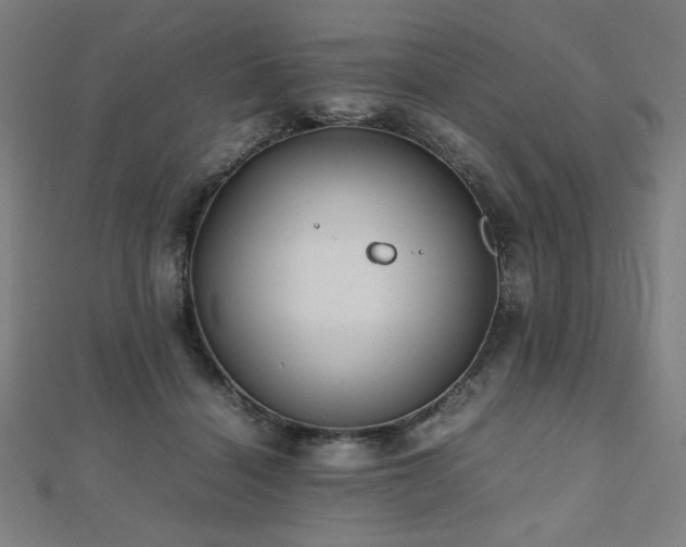 X0000112490460200908171251