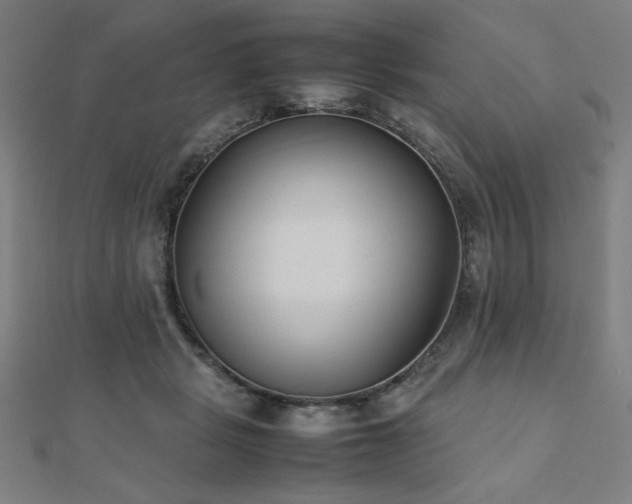 X0000112490461200908171251