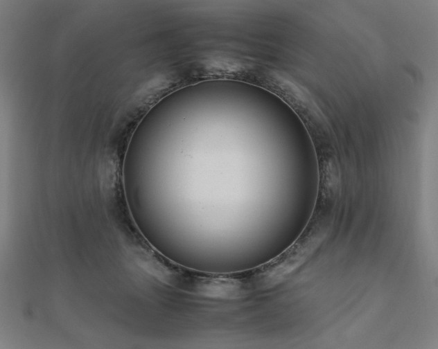 X0000112490463200908171251