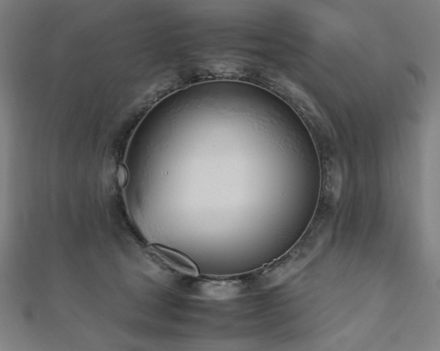 X0000112490465200908171251