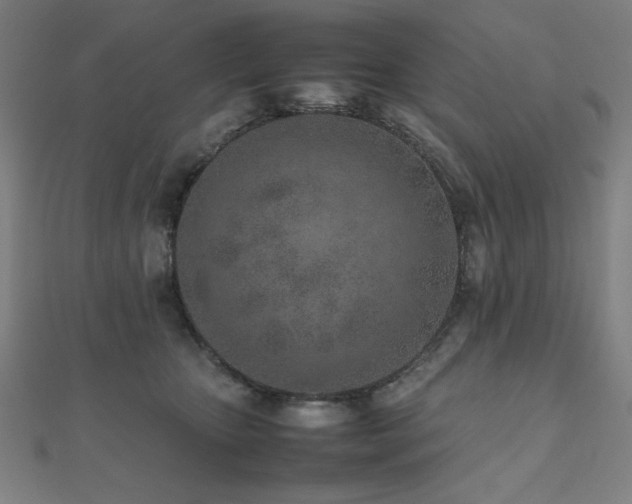 X0000112490467200908171251