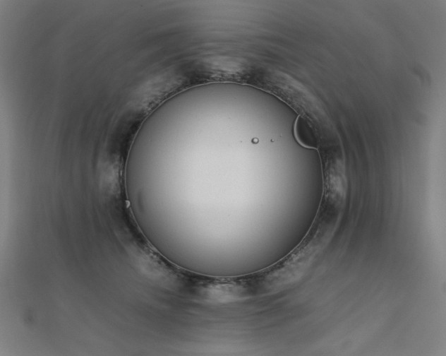X0000112490468200908171251