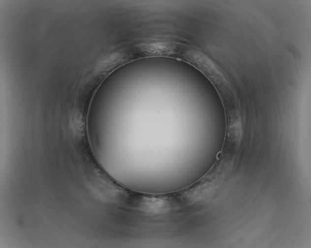 X0000112490469200908171251