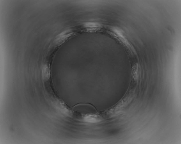 X0000112490471200908171251