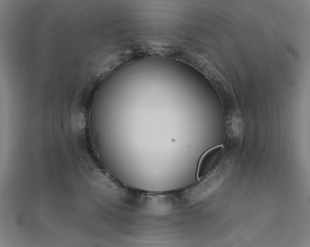 X0000112490472200908171251