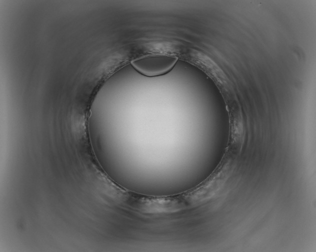 X0000112490473200908171251