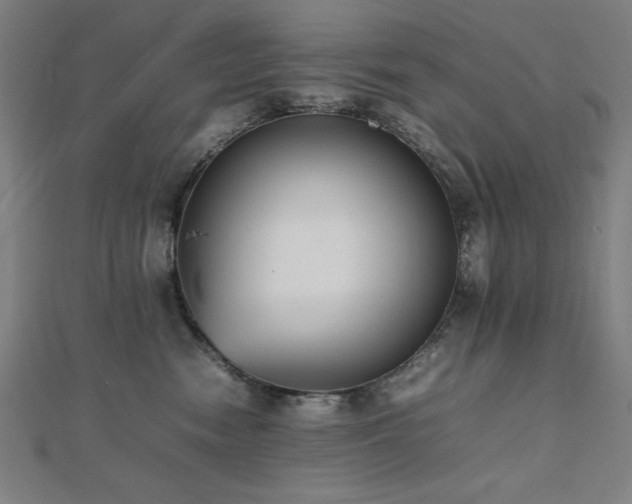 X0000112490474200908171251