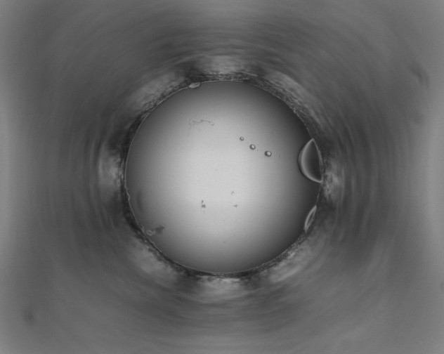 X0000112490476200908171251