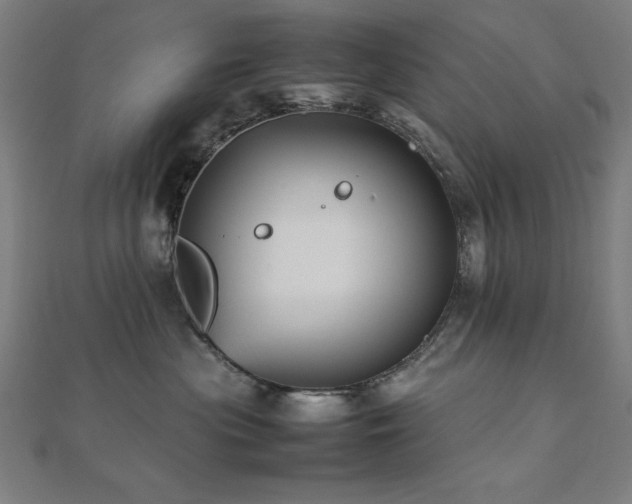 X0000112490477200908171251