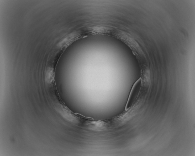 X0000112490478200908171251