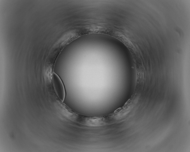 X0000112490479200908171251