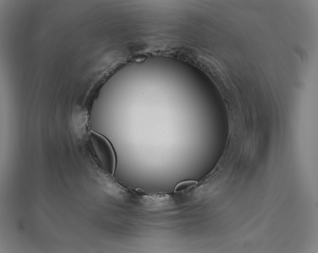 X0000112490480200908171251