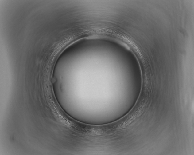X0000112490481200908171250