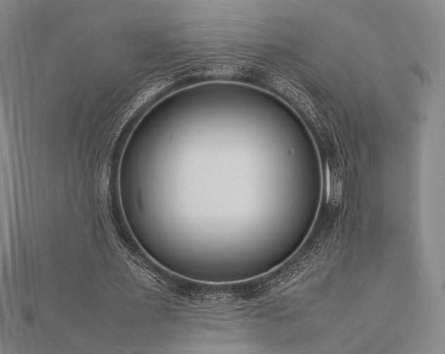 X0000112490483200908171250