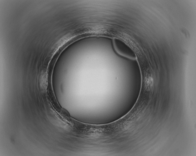 X0000112490484200908171250