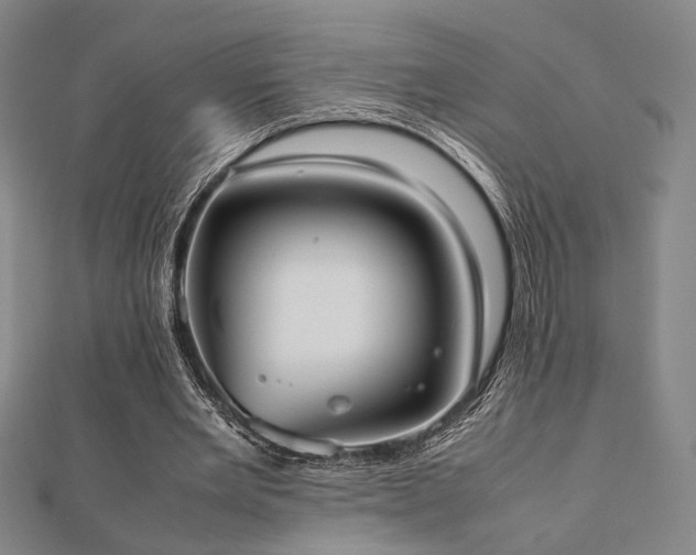 X0000112490485200908171250