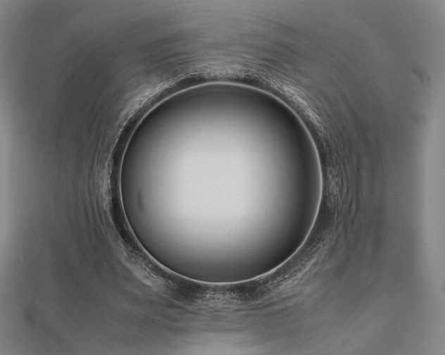 X0000112490487200908171250