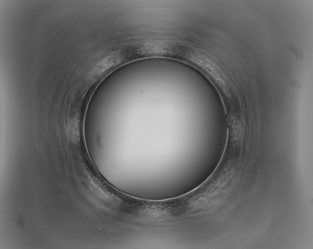 X0000112490489200908171250