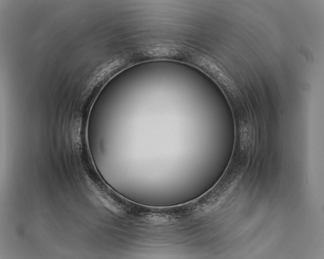 X0000112490490200908171250