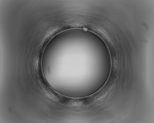 X0000112490491200908171250