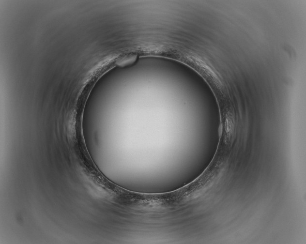 X0000112490492200908171250