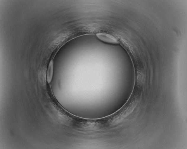 X0000112490493200908171250