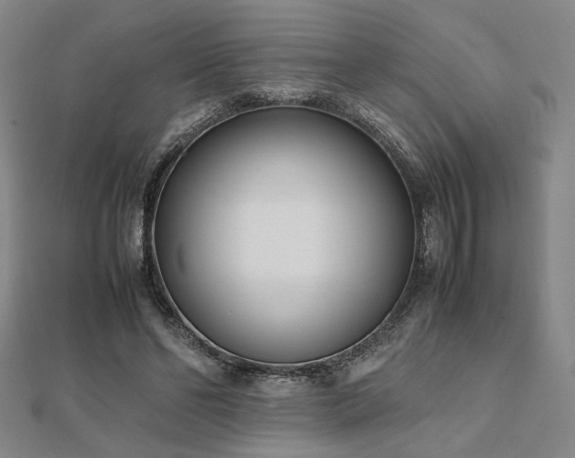 X0000112490494200908171250