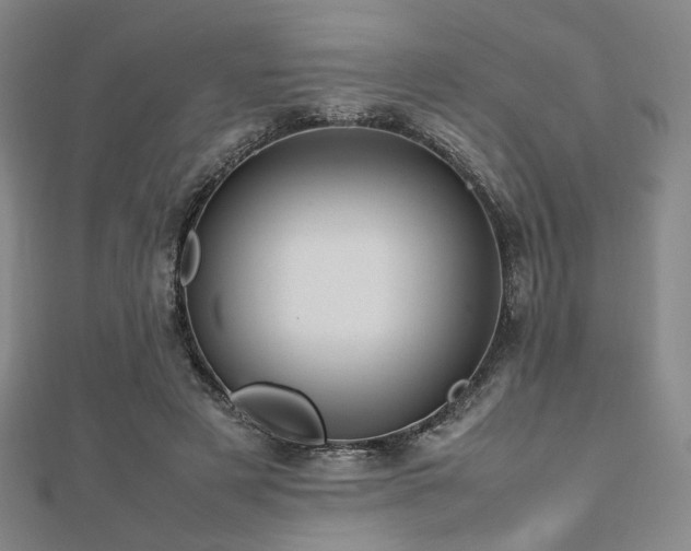X0000112490497200908171250