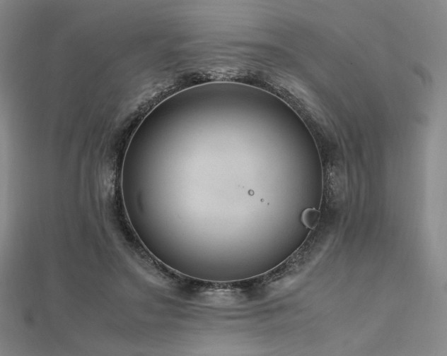 X0000112490499200908171250