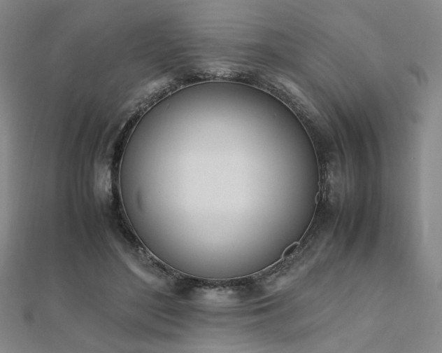 X0000112490500200908171250