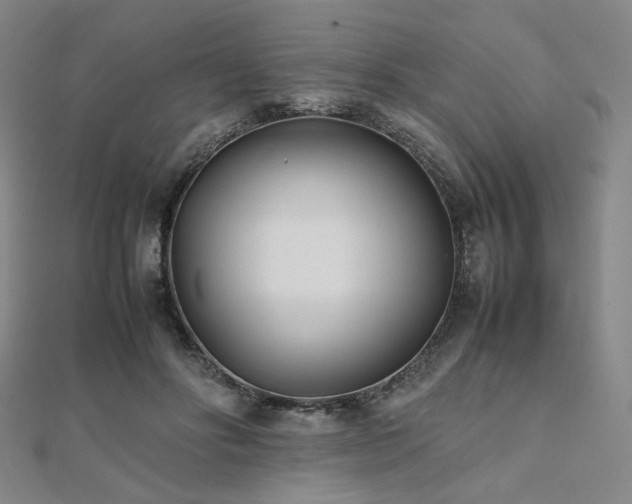 X0000112490502200908171250