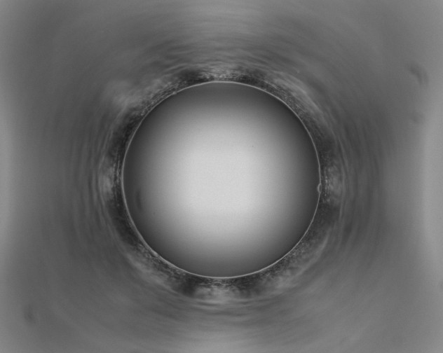 X0000112490503200908171250