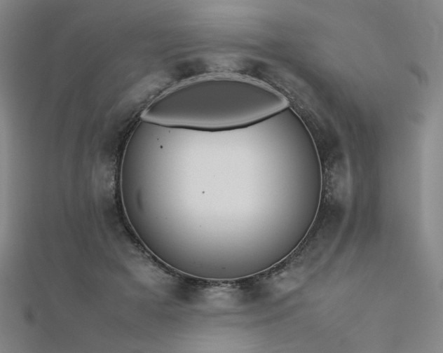 X0000112490505200908171250