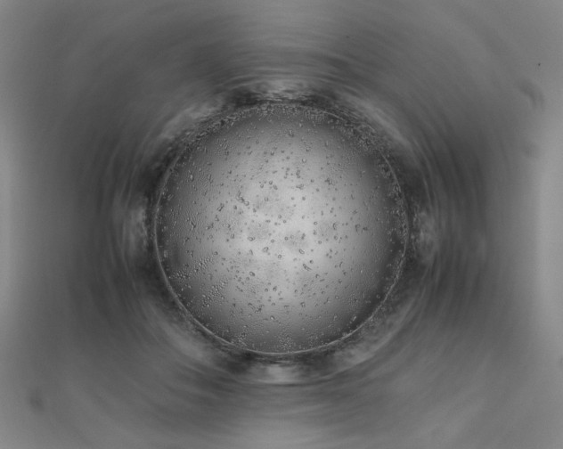 X0000112490506200908171250