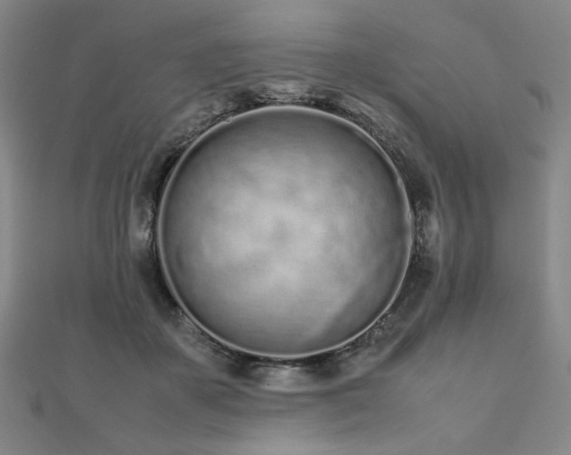 X0000112490507200908171250
