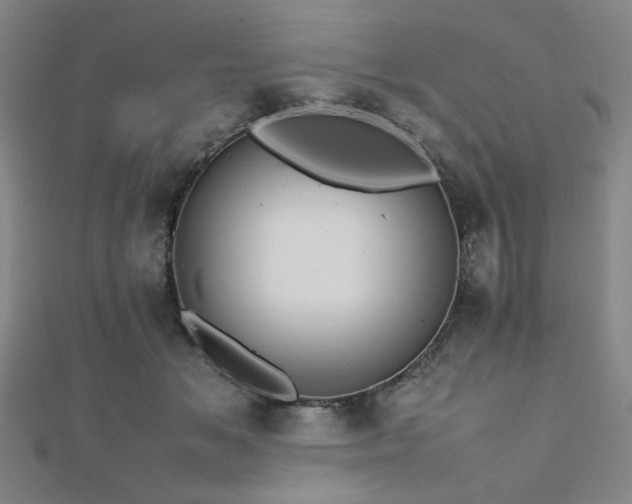 X0000112490509200908171250